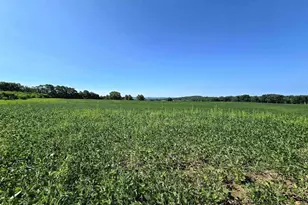 W4207 Co Rd T, Princeton, WI 54968 - Photo 51