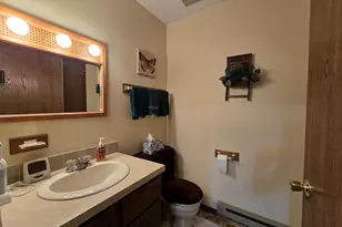 N152 W Cedar Springs Dr, Neshkoro, WI 54960 - Photo 25