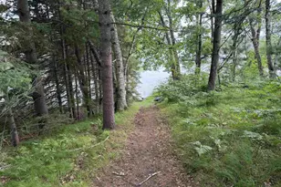 N15066 Bolander Landing Rd, Athelstane, WI 54104 - Photo 3