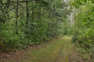 E1317 Larson Rd, Waupaca, WI 54981 - Photo 39