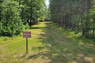 W13143 Parkway Rd, Athelstane, WI 54104 - Photo 1
