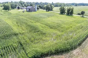 N3212 Bean City Rd, New London, WI 54961 - Photo 67