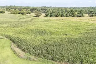 N3212 Bean City Rd, New London, WI 54961 - Photo 69