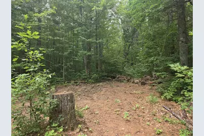 1243 W Haskell Lake Lane, Lac Du Flambeau, WI 54538 - Photo 21