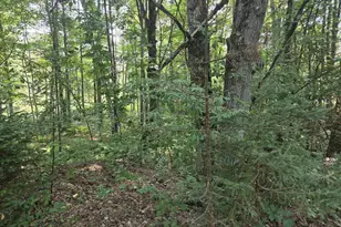 W2786 Plantation Rd, Porterfield, WI 54159 - Photo 37