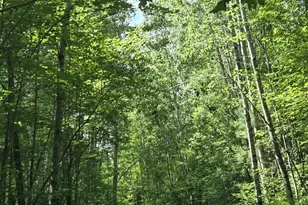 Right Of Way Rd, Pembine, WI 54156 - Photo 1