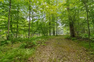 5251 Stiles Rd, Lena, WI 54139 - Photo 43