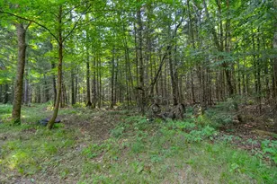 W15312 Old J Rd, Athelstane, WI 54104 - Photo 49