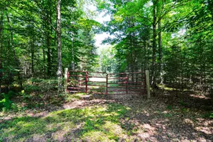 W15310 Old J Rd, Athelstane, WI 54104 - Photo 1
