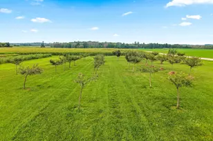 N5951 Division Rd, Cecil, WI 54111 - Photo 63