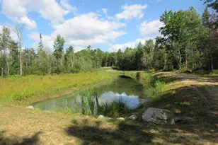W8598 Beecher Lake Rd, Pembine, WI 54156 - Photo 41