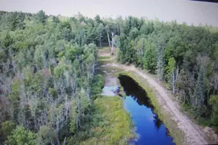 W8598 Beecher Lake Rd, Pembine, WI 54156 - Photo 63
