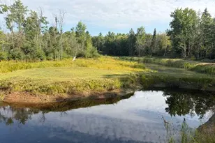 W8598 Beecher Lake Rd, Pembine, WI 54156 - Photo 61