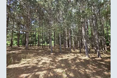 N169 18th Avenue, Neshkoro, WI 54960 - Photo 37