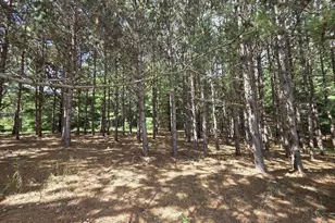 N169 18th Ave, Neshkoro, WI 54960 - Photo 37