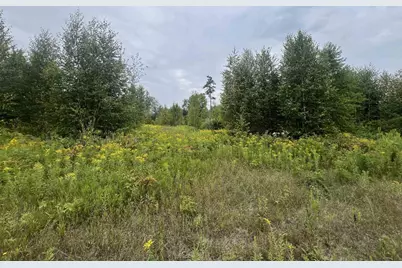 W5350 Big Woods Lane, Pembine, WI 54156 - Photo 1