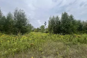 W5350 Big Woods Ln, Pembine, WI 54156 - Photo 1