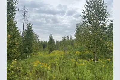 W5350 Big Woods Lane, Pembine, WI 54156 - Photo 5