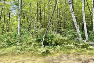 17151 Archibald Lake Rd, Townsend, WI 54175 - Photo 7