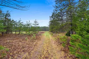 Russ Mainik Rd, Wausaukee, WI 54177 - Photo 1