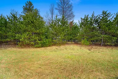 Russ Mainik Road, Wausaukee, WI 54177 - Photo 5