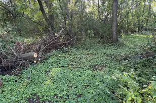 8772 Co Rd K, Omro, WI 54963 - Photo 61