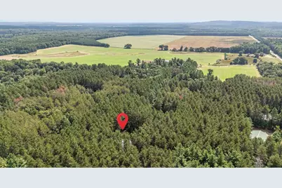 N5255 22nd Road, Wild Rose, WI 54984 - Photo 39