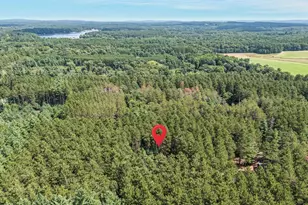 N5255 22nd Rd, Wild Rose, WI 54984 - Photo 51