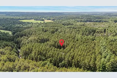 N5255 22nd Road, Wild Rose, WI 54984 - Photo 31