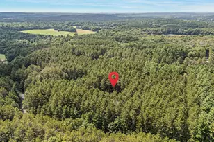 N5255 22nd Rd, Wild Rose, WI 54984 - Photo 31