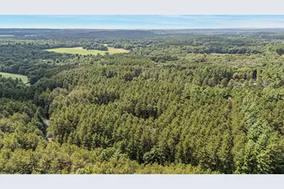 N5255 22nd Road, Wild Rose, WI 54984 - Photo 49