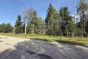 W7398 Chalk Hills Rd, Daggett, MI 49821 - Photo 1