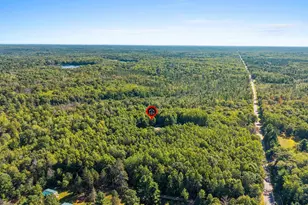 W10614 Benson Lake Rd, Amberg, WI 54102 - Photo 81