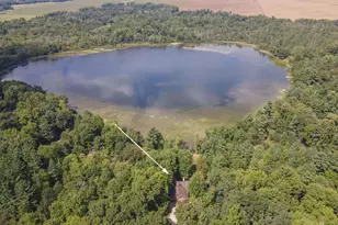 N617 N Curtis Lake Ln, Coloma, WI 54930 - Photo 17