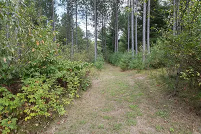 W3704 Myers Road, Tomahawk, WI 54487 - Photo 61