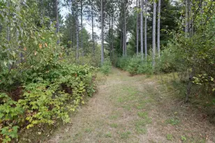 W3704 Myers Rd, Tomahawk, WI 54487 - Photo 61