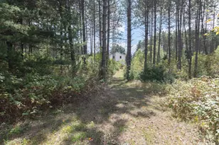 W3704 Myers Rd, Tomahawk, WI 54487 - Photo 59
