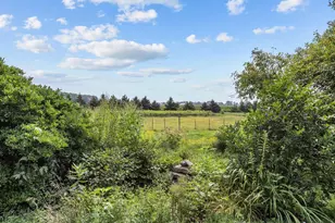 6160 Sth 29, Luxemburg, WI 54217 - Photo 41