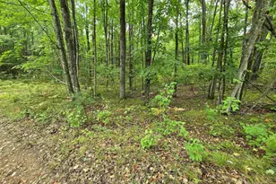 5 Acres Roush Rd, Wausaukee, WI 54177 - Photo 1