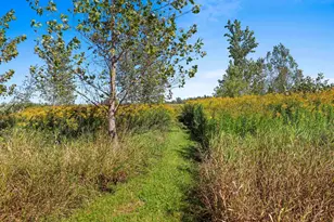 N2542 County Rd F, Pulaski, WI 54162 - Photo 37