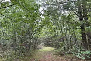N17262 US Hwy 141, Pembine, WI 54156 - Photo 29