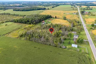 N2979 State 47, Bonduel, WI 54107 - Photo 5