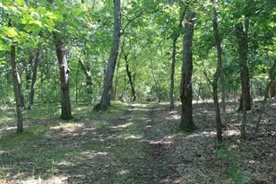 W3755 Beechnut Ln, Pine River, WI 54965 - Photo 53