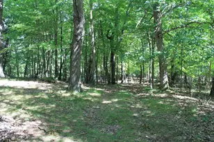 W3755 Beechnut Ln, Pine River, WI 54965 - Photo 59