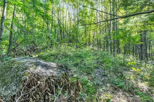 E559 Indian Valley Rd, Waupaca, WI 54981 - Photo 39