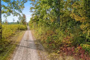 15618 Upper Island Lake Ln, Doty, WI 54149 - Photo 67