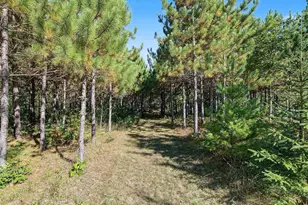N10486 Elm Rd, Wausaukee, WI 54177 - Photo 73