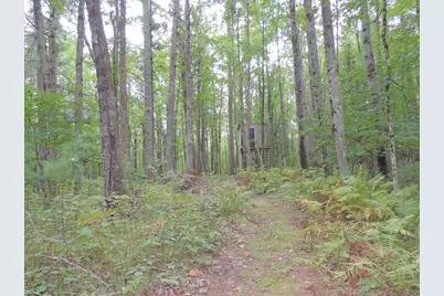 W10443 Trout Haven Road, Dunbar, WI 54119 - Photo 35
