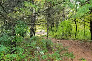 N9106 Pagel Rd, Iola, WI 54945 - Photo 31