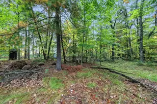 W5112 Pioneer Ct, Shawano, WI 54166 - Photo 27